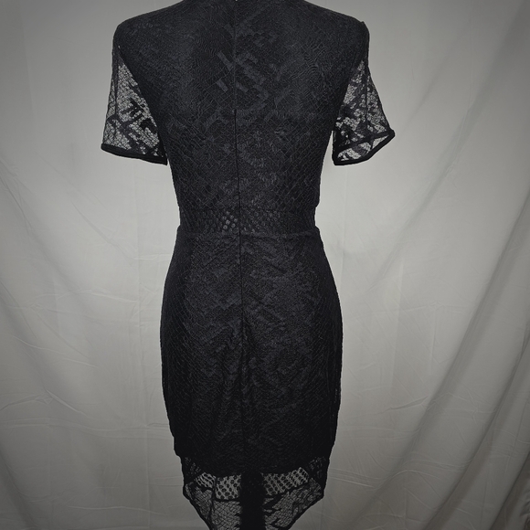 Bailey 44 Black Lace Blocked Sheath Dress. - Picture 9 of 16